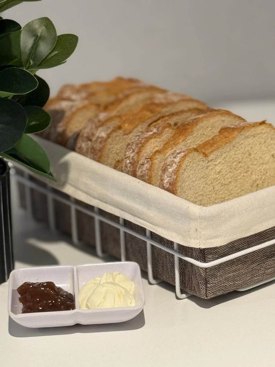 Panera - Image 2